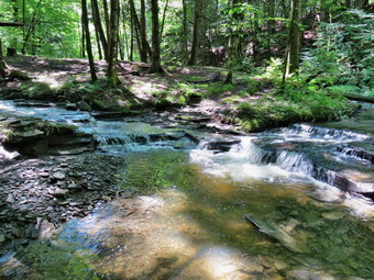 picture taken during a hike