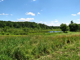 picture taken during a hike