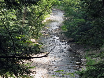 picture taken during a hike