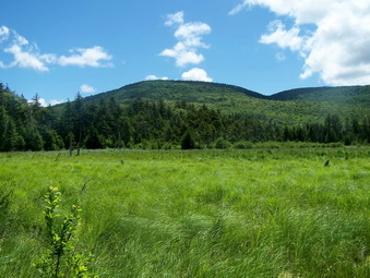 picture taken during a hike