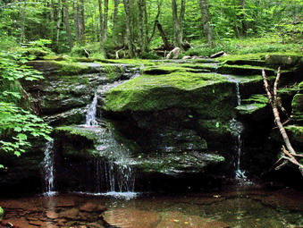 picture taken during a hike