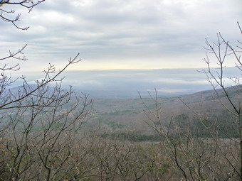 picture taken during a hike