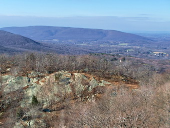 picture taken during a hike