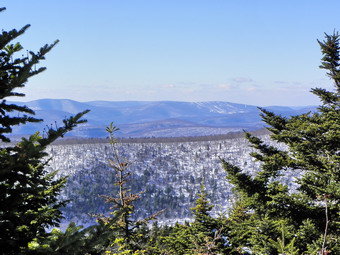 picture taken during a hike