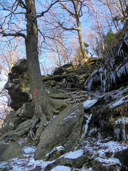 picture taken during a hike