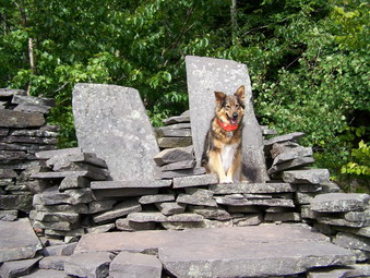 picture taken during a hike