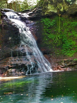 picture taken during a hike