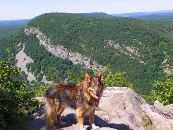 picture taken during a hike