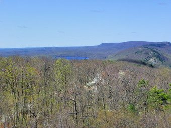 picture taken during a hike