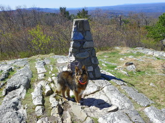 picture taken during a hike