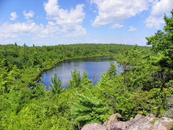 picture taken during a hike