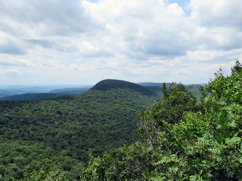 picture taken during a hike