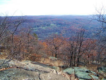 picture taken during a hike