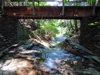 picture taken during a hike