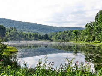 picture taken during a hike