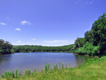 picture taken during a hike