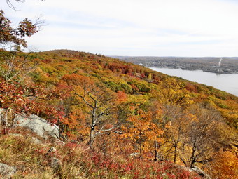 picture taken during a hike