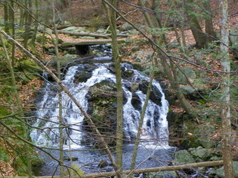 picture taken during a hike