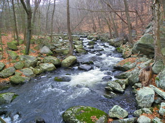 picture taken during a hike