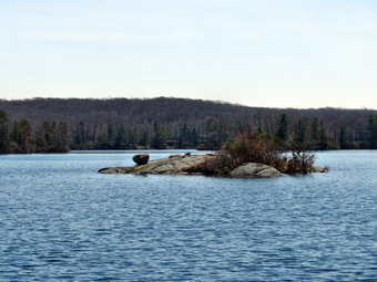 picture taken during a hike