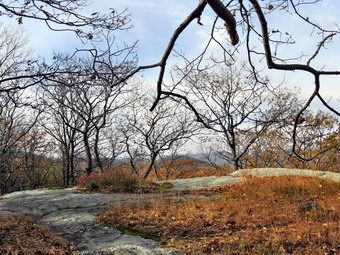 picture taken during a hike