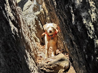 picture taken during a hike