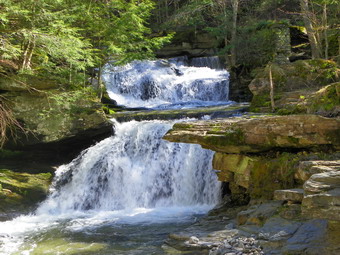 picture taken during a hike