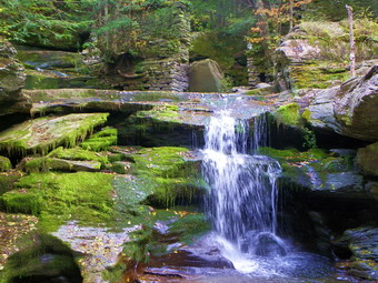 picture taken during a hike