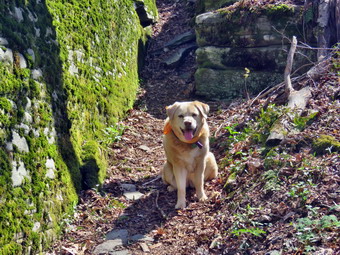 picture taken during a hike