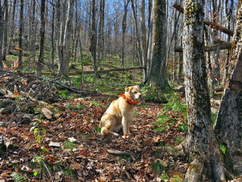 picture taken during a hike