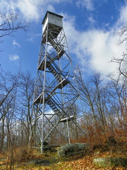 picture taken during a hike