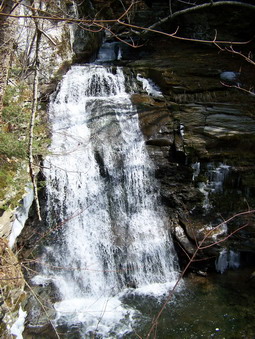 picture taken during a hike