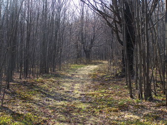 picture taken during a hike