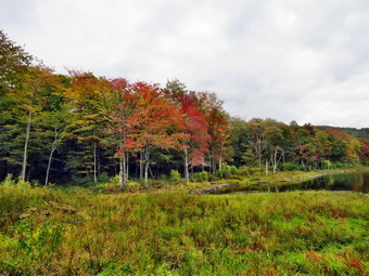 picture taken during a hike