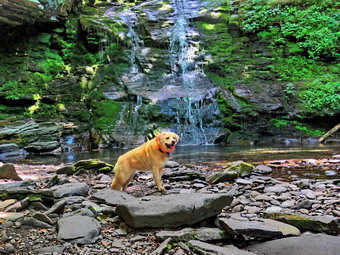 picture taken during a hike