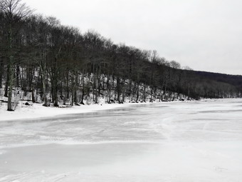 picture taken during a hike