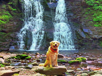 picture taken during a hike