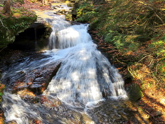 picture taken during a hike