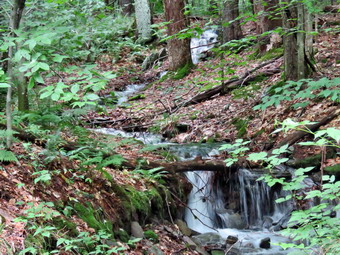 picture taken during a hike