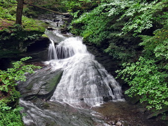 picture taken during a hike