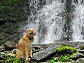 picture taken during a hike