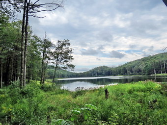 picture taken during a hike