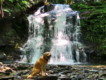 picture taken during a hike