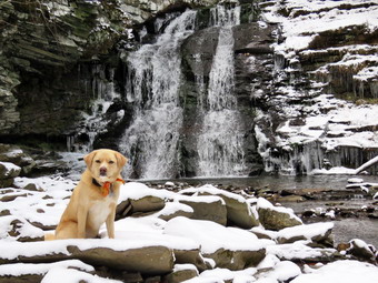 picture taken during a hike