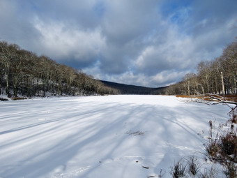 picture taken during a hike