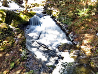 picture taken during a hike