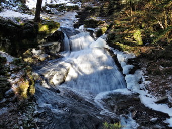 picture taken during a hike