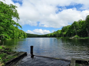 picture taken during a hike