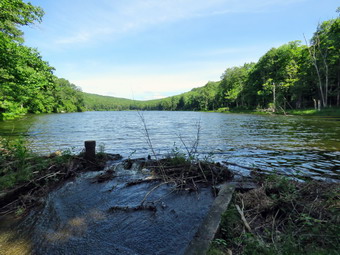 picture taken during a hike