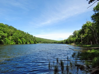 picture taken during a hike